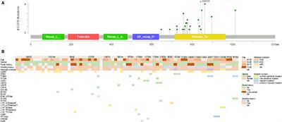 Identification of the Unique Clinical and Genetic Features of Chinese Lung Cancer Patients With EGFR Germline Mutations in a Large-Scale Retrospective Study